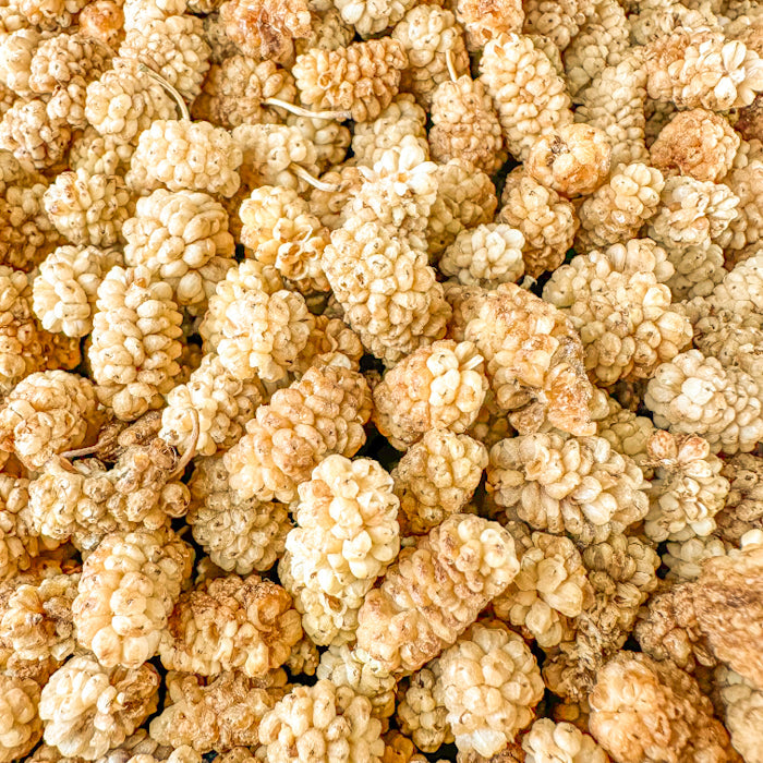 Žāvētas zīdkoka ogas